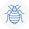Bed Bug Extermination In Rm4