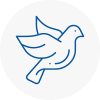 Bird Prevention Rm4