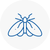 Moth Control Specialists In Rm4