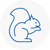 Rm4 Rodent Removals