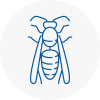 Rm4 Wasp Nest Removal